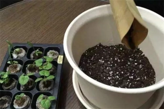 哈尔滨珍珠岩厂家